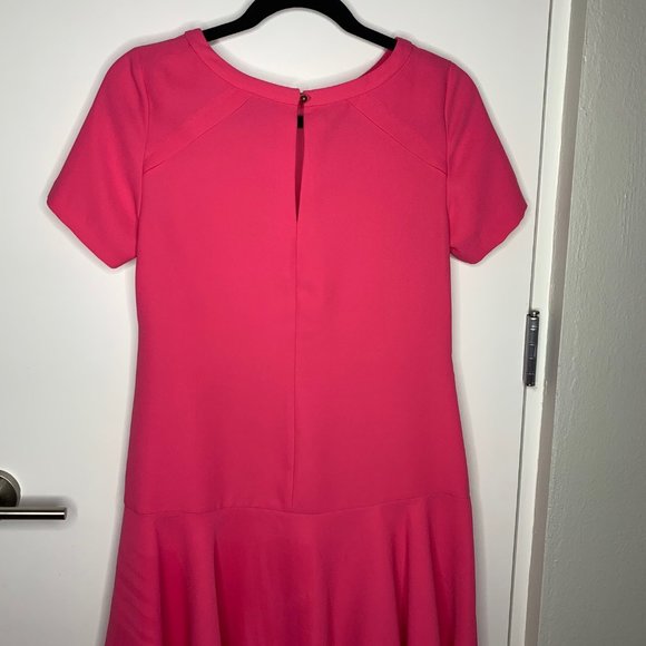BANANA REPUBLIC PINK DROP WAIST DRESS - Picture 4 of 4